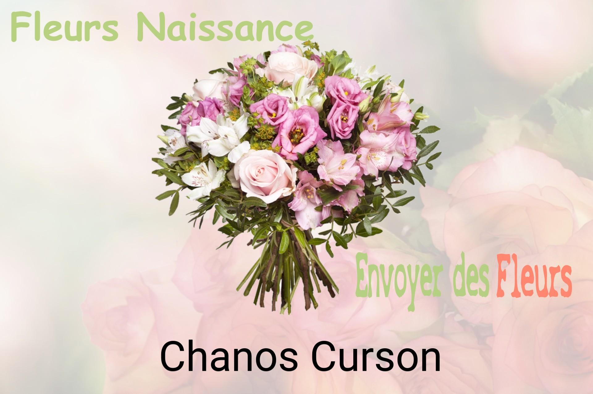 Bouquet de fleurs de naissance livré à Chanos-Curson